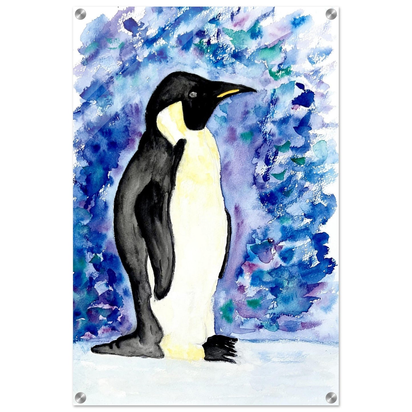 Emperor Penguin Acrylic Prints