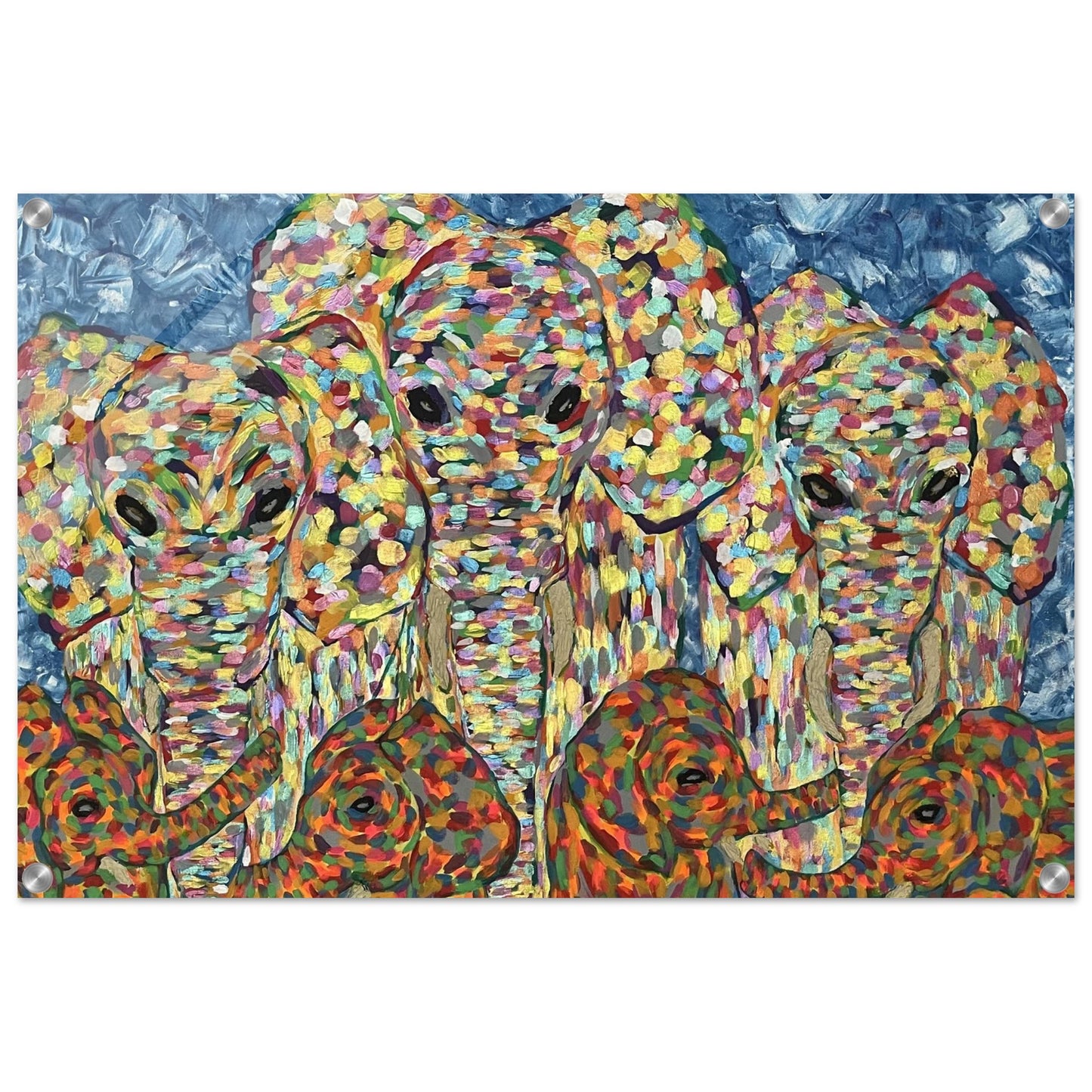 Multi Coloured Elephants Acrylic Prints