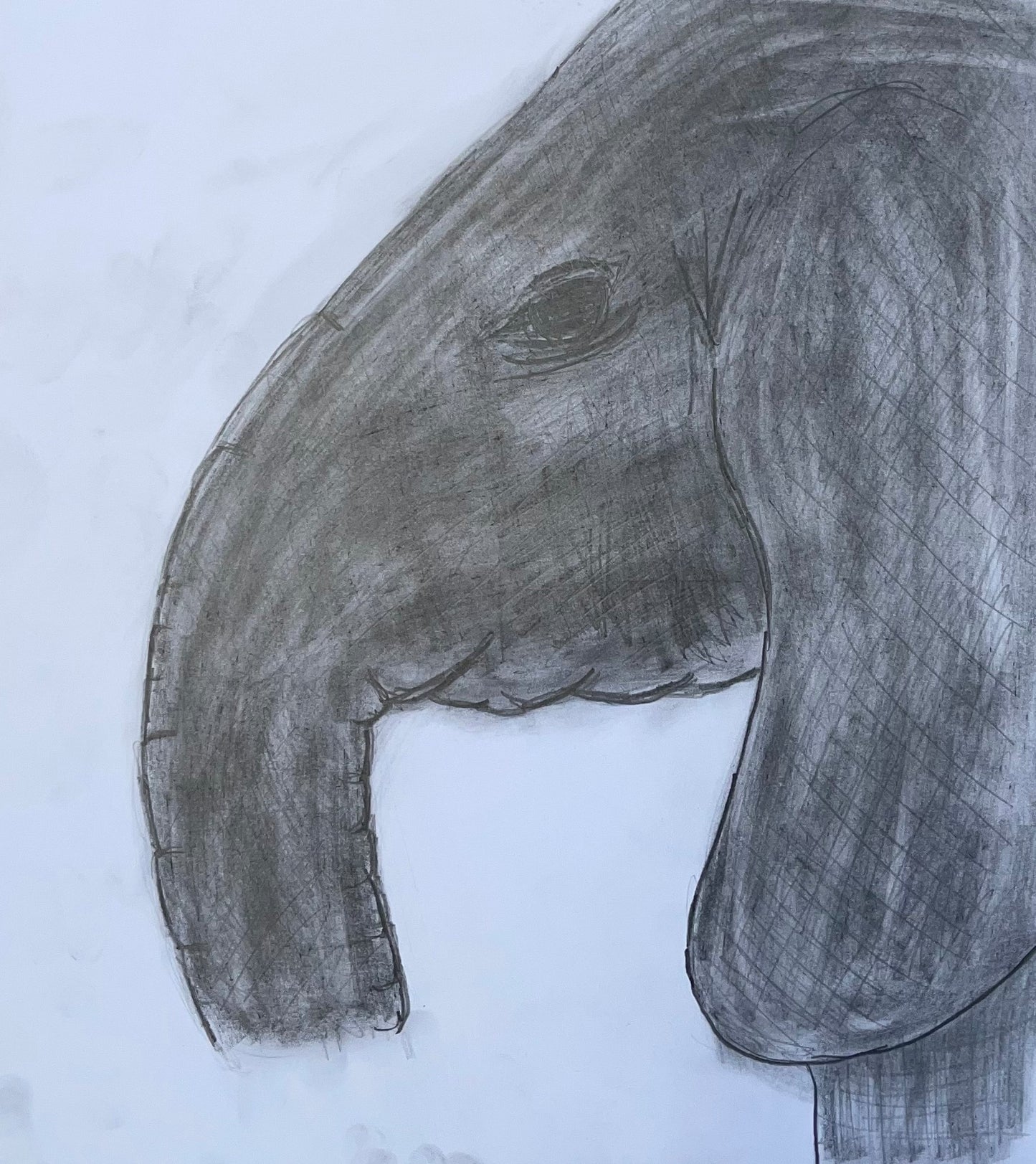 Elephant Sketch