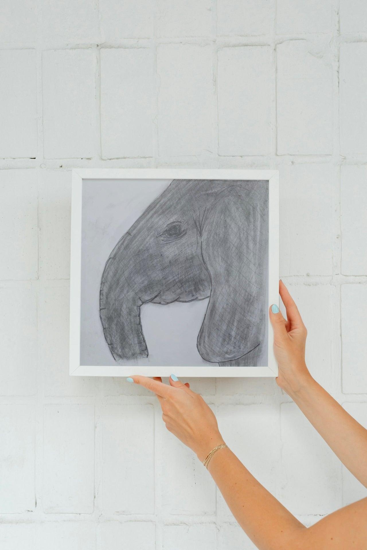 Elephant Sketch